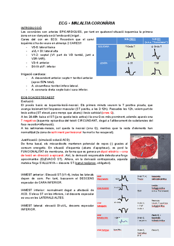 Resum-cardio-semis.pdf