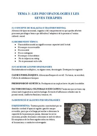 TEMA-3LES-PSICOPATOLOGIES.pdf