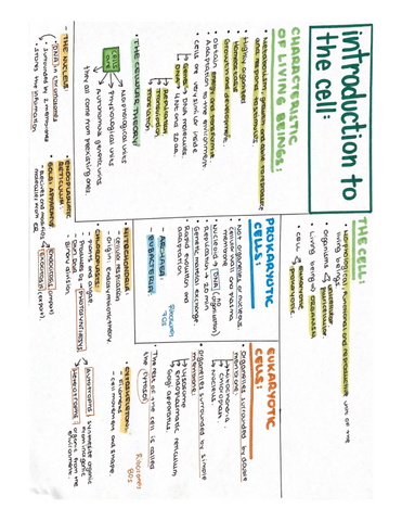 Esquemas-de-los-ocho-temas.pdf