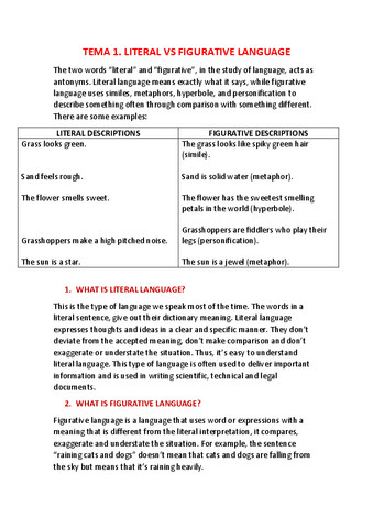 TEMA-1-LENGUAJE.pdf