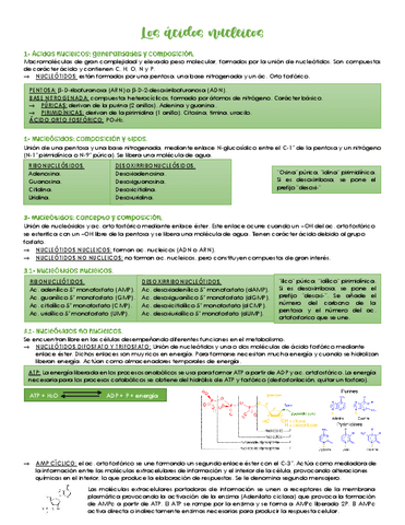 Los-acidos-nucleicos.pdf