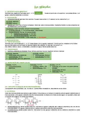 Los-glucidos.pdf