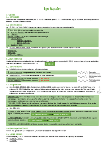 Los-lipidos.pdf
