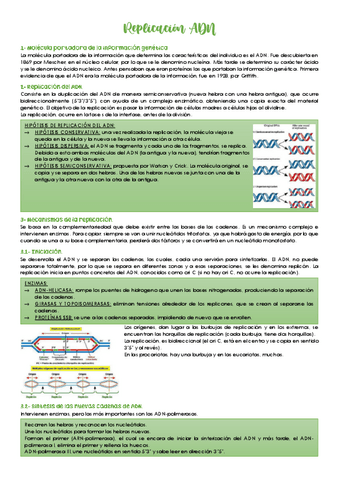 Replicacion-ADN.pdf
