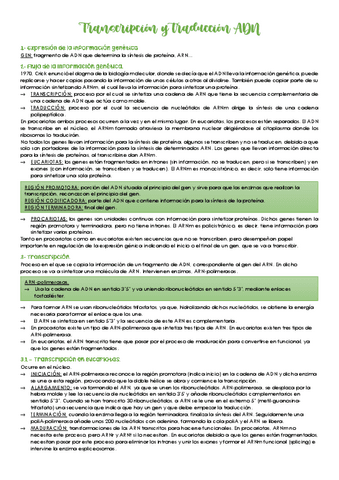 Transcripcion-y-traduccion-ADN.pdf