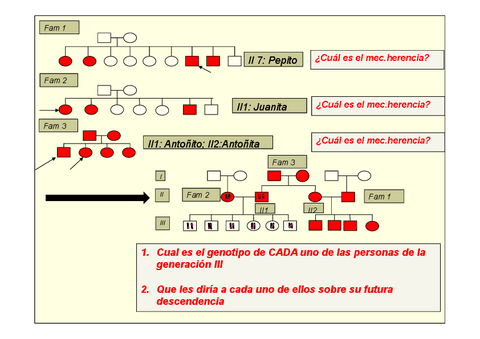 Ejercicio-Seminario-1.pdf