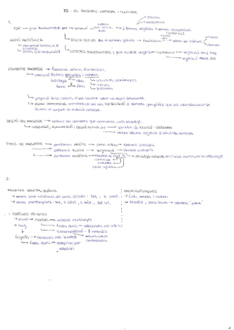 T5.-El-paisatge-natural-i-cultural.pdf