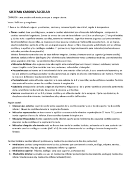 1.1 el sistema cardiovascular.pdf