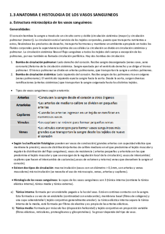 1.3 Los vasos sanguineos.pdf