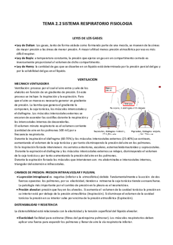 TEMA 2.2 FISIOLOGIA SISTEMA RESPIRATORIO.docx.pdf