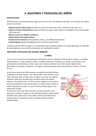 3.1 anatomia y fisiologia del riñon.pdf