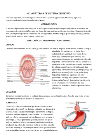 4.1 Aparato digestivo- membranas.pdf