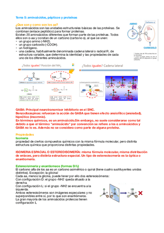 Tema-5-bioquimica.pdf