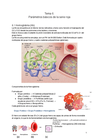 tema-6-Parametros-basicos-de-la-serie-roja.pdf