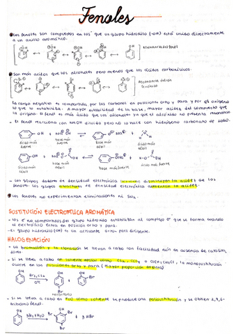 Fenoles.pdf