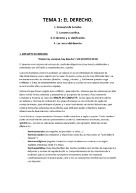 TEMA 1 - El derecho..pdf