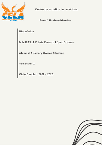 Portafolio-de-evidencias-.pdf