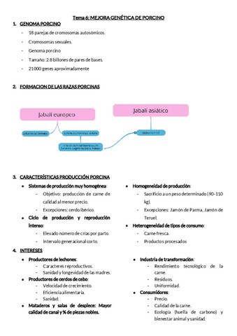 PORCINO-GENETICA.pdf