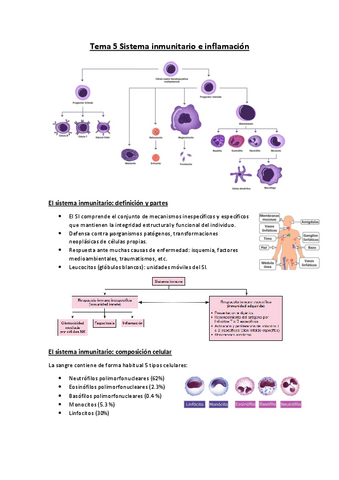 Tema-5-Sistema-inmunitario.pdf