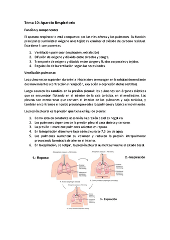 Tema-10-Aparato-Respiratorio.pdf