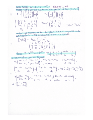 Ordinaria-2018-algebra.pdf
