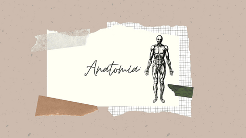 Anatomia-.pdf