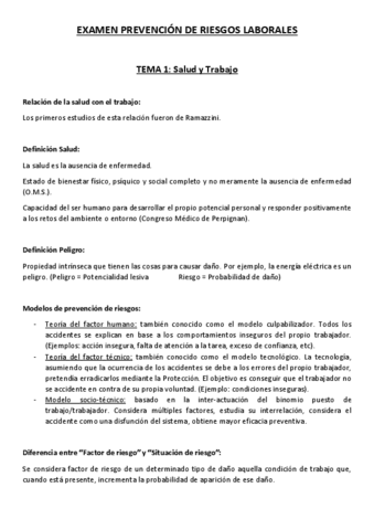 Resumen-Teoria.pdf