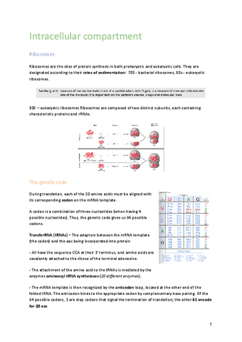 T8-intracellular-compartments.pdf