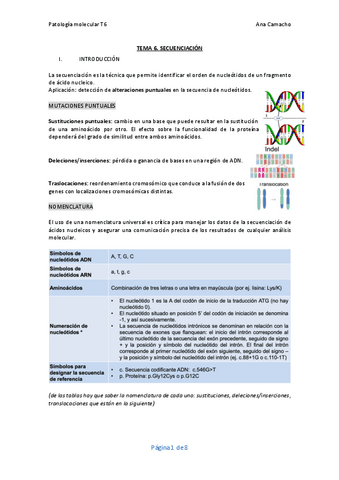 TEMA-6-PM.pdf