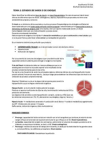 TEMA-2-CAR-Estados-de-Shock-o-choque.pdf
