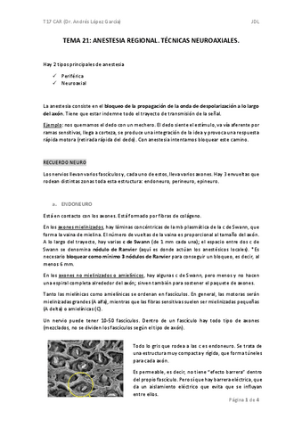 TEMA-21-car.pdf