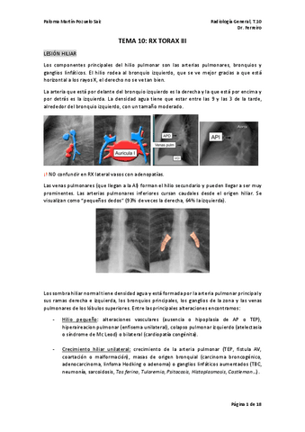 TEMA-10-rayos.pdf