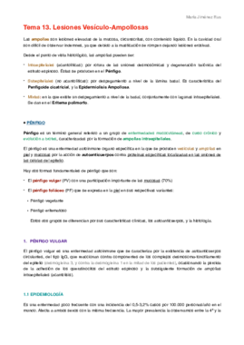 Tema 13.pdf