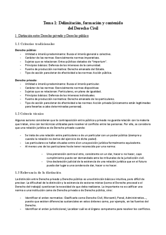 apuntes-civil-toda-la-asignatura.pdf