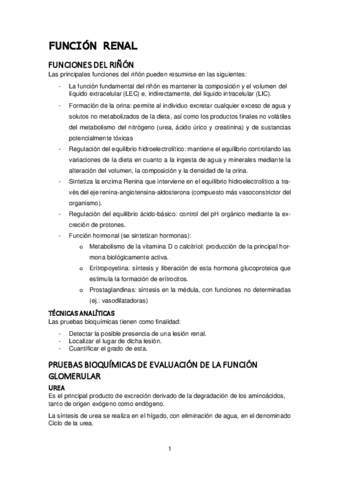 Funcion-renal.pdf