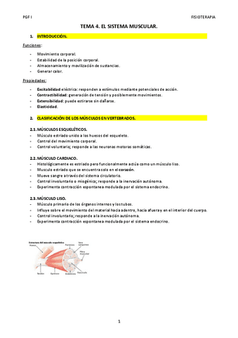 TEMA-4.-FISIOLOGIA.pdf