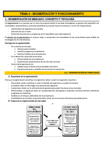 TEMA-6.-SEGMENTACION-Y-POSICIONAMIENTO.pdf