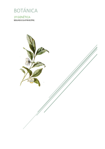 T1-botanica.pdf
