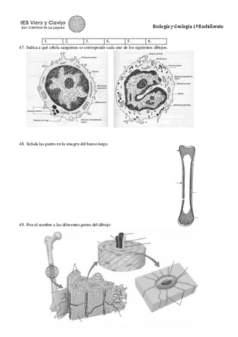 prbac1bygsep2018cuadernillo-9.pdf