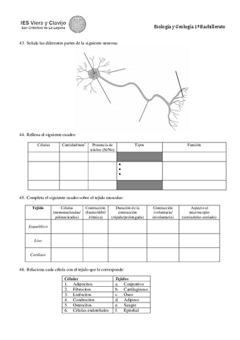 prbac1bygsep2018cuadernillo-8.pdf
