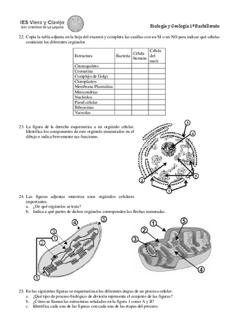 prbac1bygsep2018cuadernillo-4.pdf