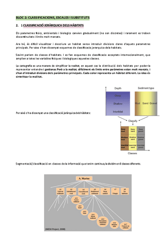 BLOC-2.-CLASSIFICACIONS-ESCALES-I-SUBSTITUTS.pdf