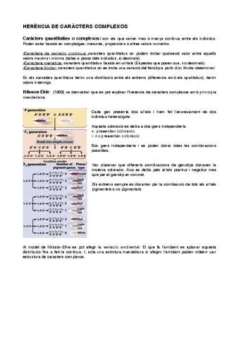 HERENCIA-DE-CARACTERS-COMPLEXOS.pdf