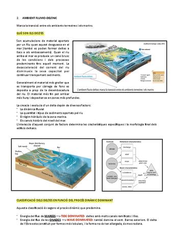 2.-DELTESambient-fluvio-deltaic.pdf