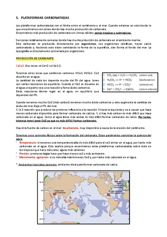 5.-PLATAFORMAS-CARBONATADAS.pdf