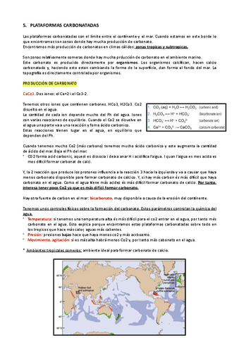 5.-PLATAFORMAS-CARBONATADAS-SA.pdf