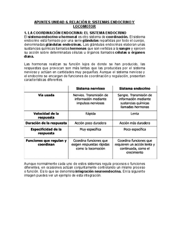 APUNTES-SISTEMAS-ENDOCRINO-Y-LOCOMOTOR3ESO.pdf