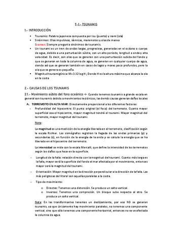1aParte-T-1Tsunamis.pdf