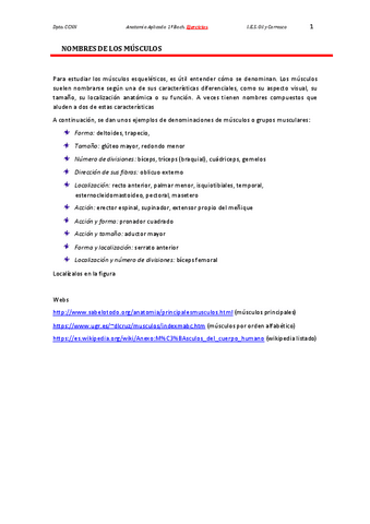 Tema-04.pdf