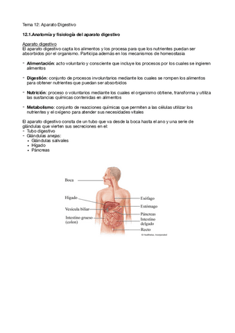 Tema-12.pdf